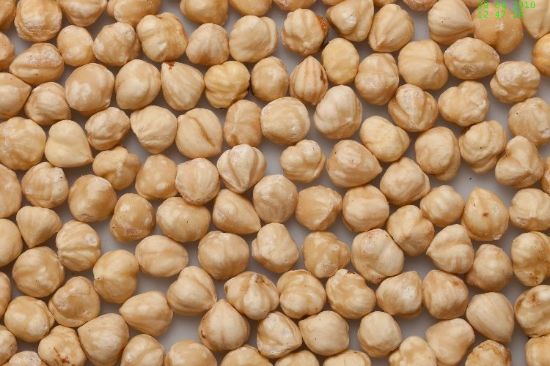 Bild von @Koenig Haselnusskerne gesch.