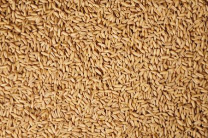 Bild von Schapfen Haferkerne (30)