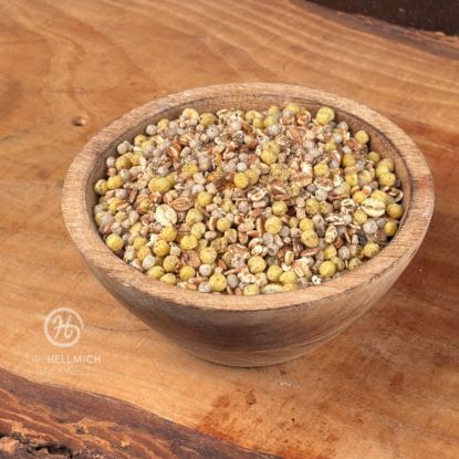 Bild von HL 1000-Sassa