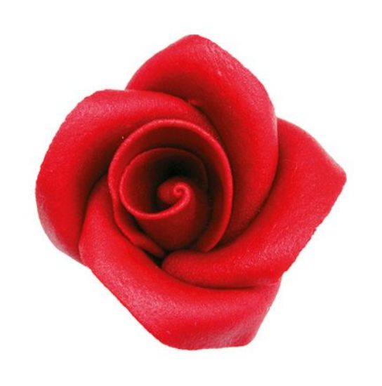 Bild von @Bomb. rote Rose groß
